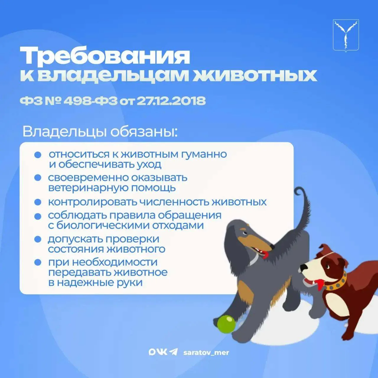 🐶 Саратовцам напомнили о правилах выгула и перевозки питомцев