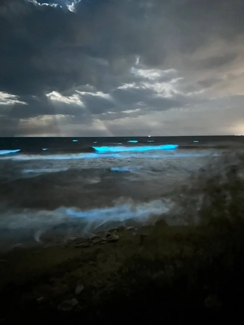 В Одессе фосфорится море