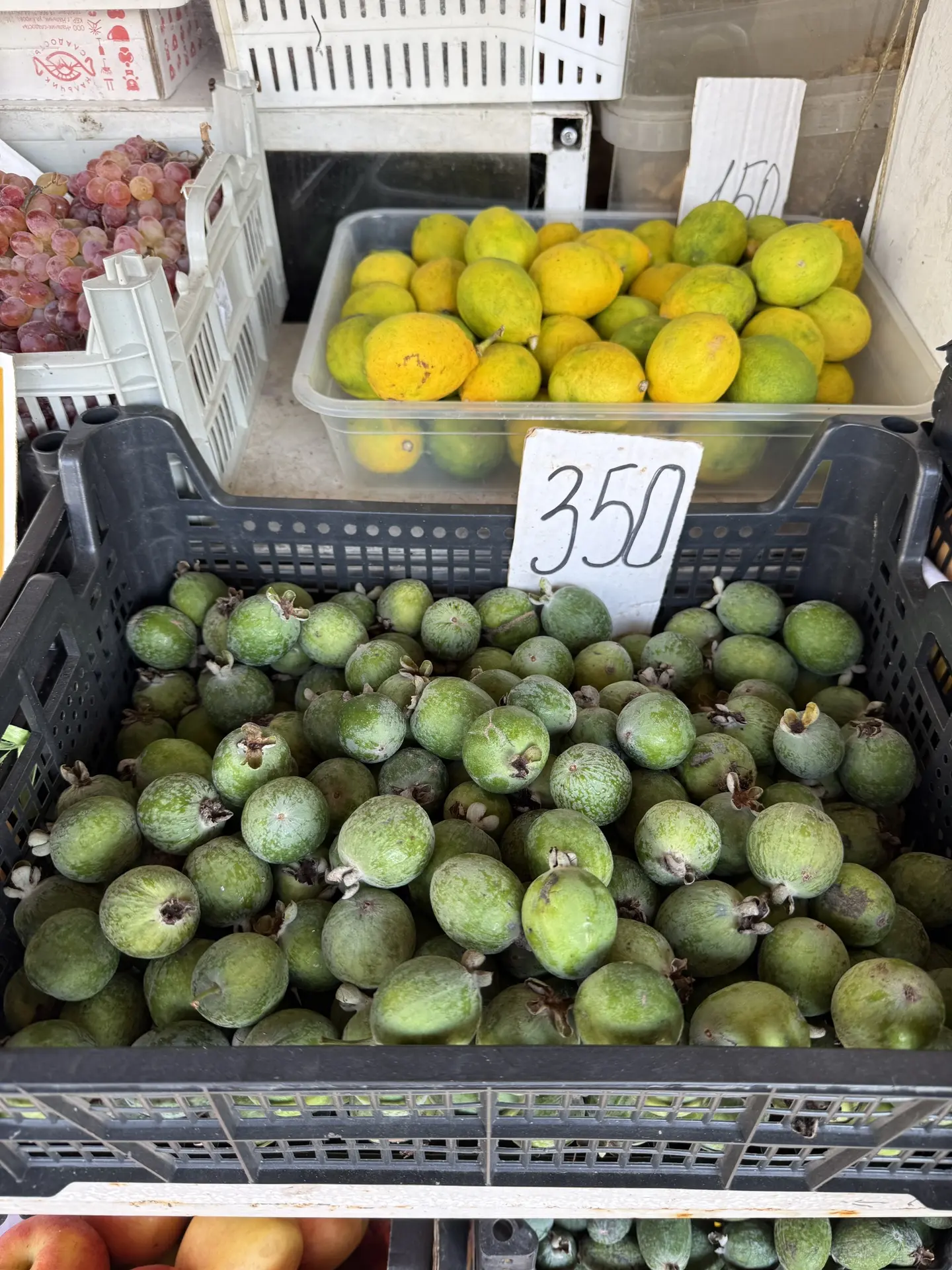 Наконец-то пошла первая фейхоа! 💚 На рынке уже продают по 350 ₽ за килограмм.