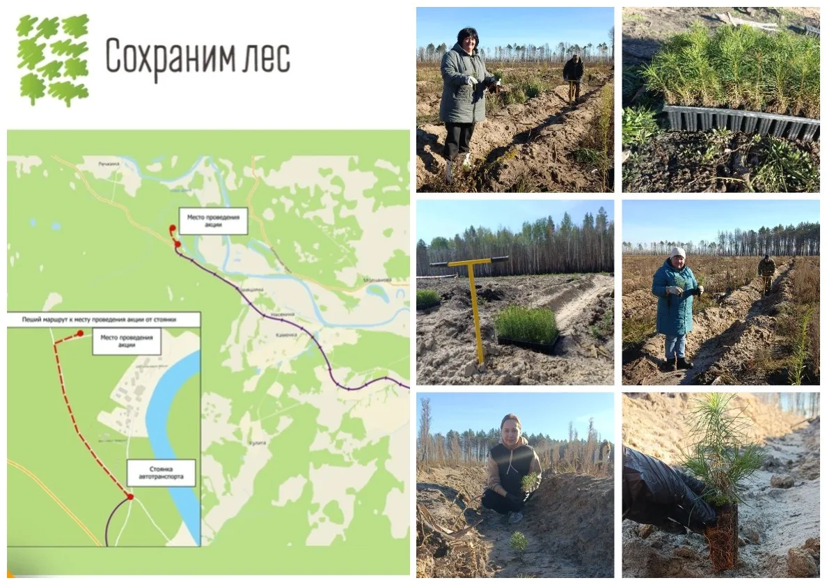 Маленький шаг для человека — огромный вклад в будущее! 🌲
