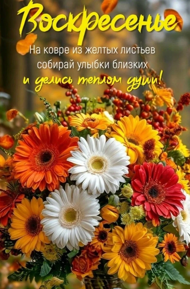 🧡🧡🧡