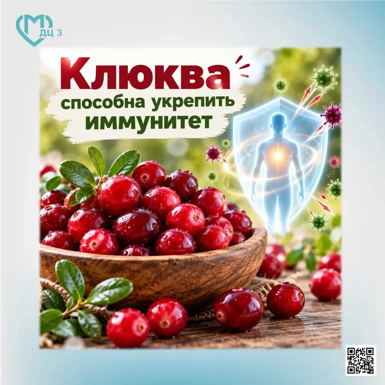 🗣 Клюква как целебное средство