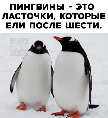 🎃 Весело у нас 🧨
