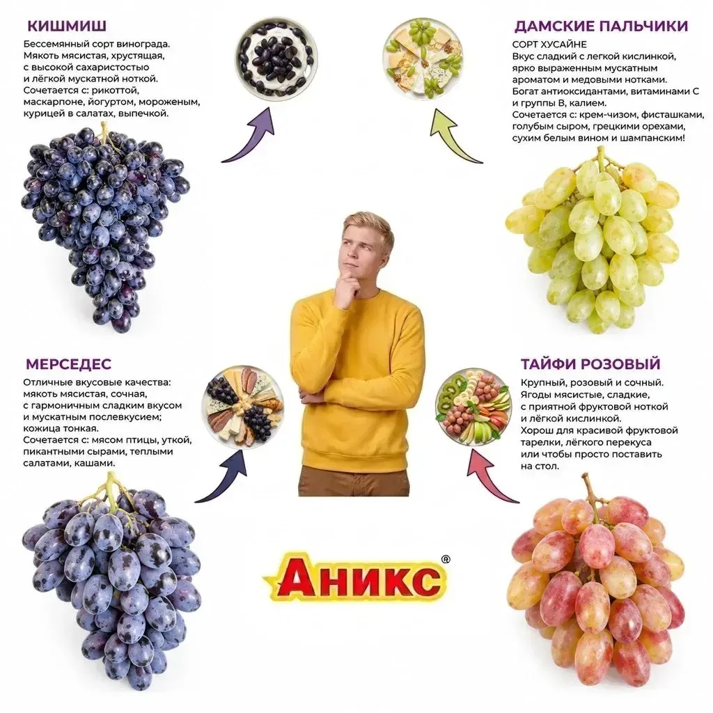 Не думай — выбирай! 🍇