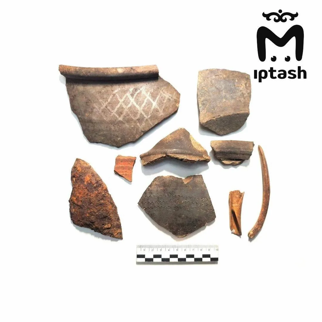 🏺 В Татарстане археологи обнаружили остатки деревни XVIII века — Mash Iptash