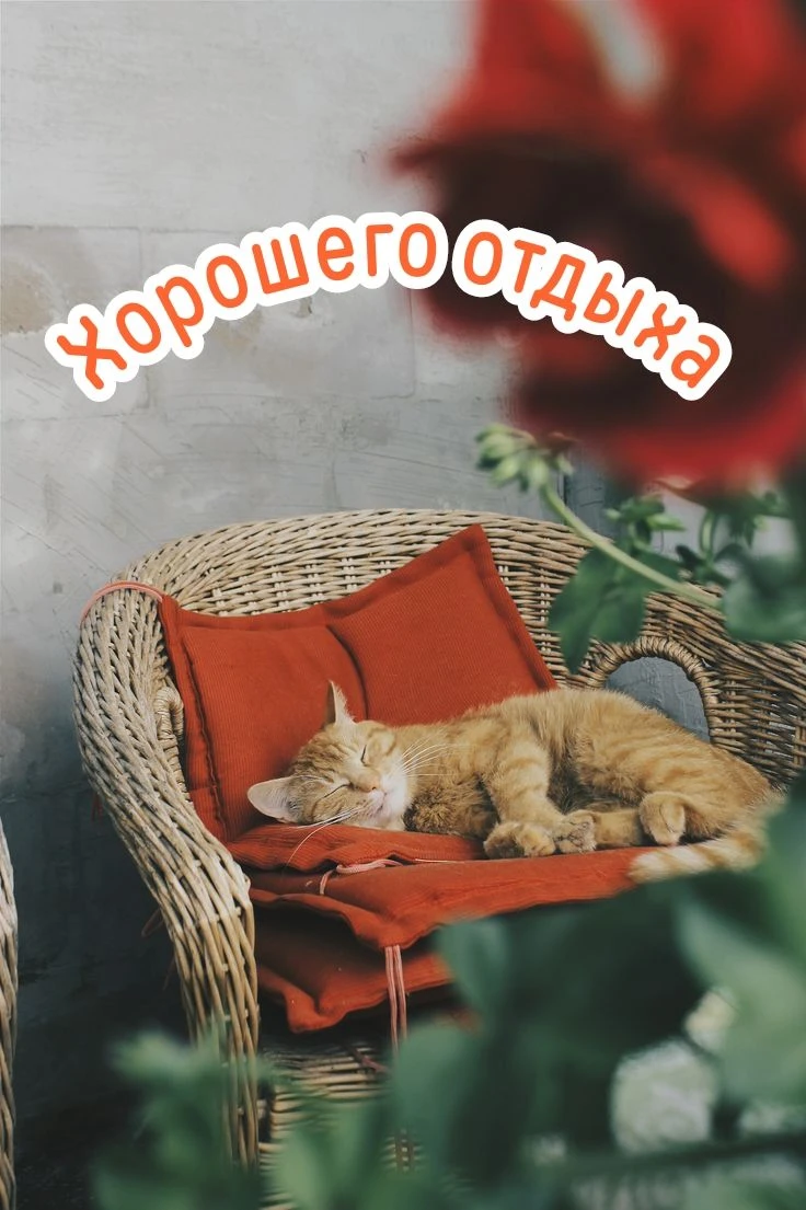 Твои открытки - Отправь открытку другу ❤️