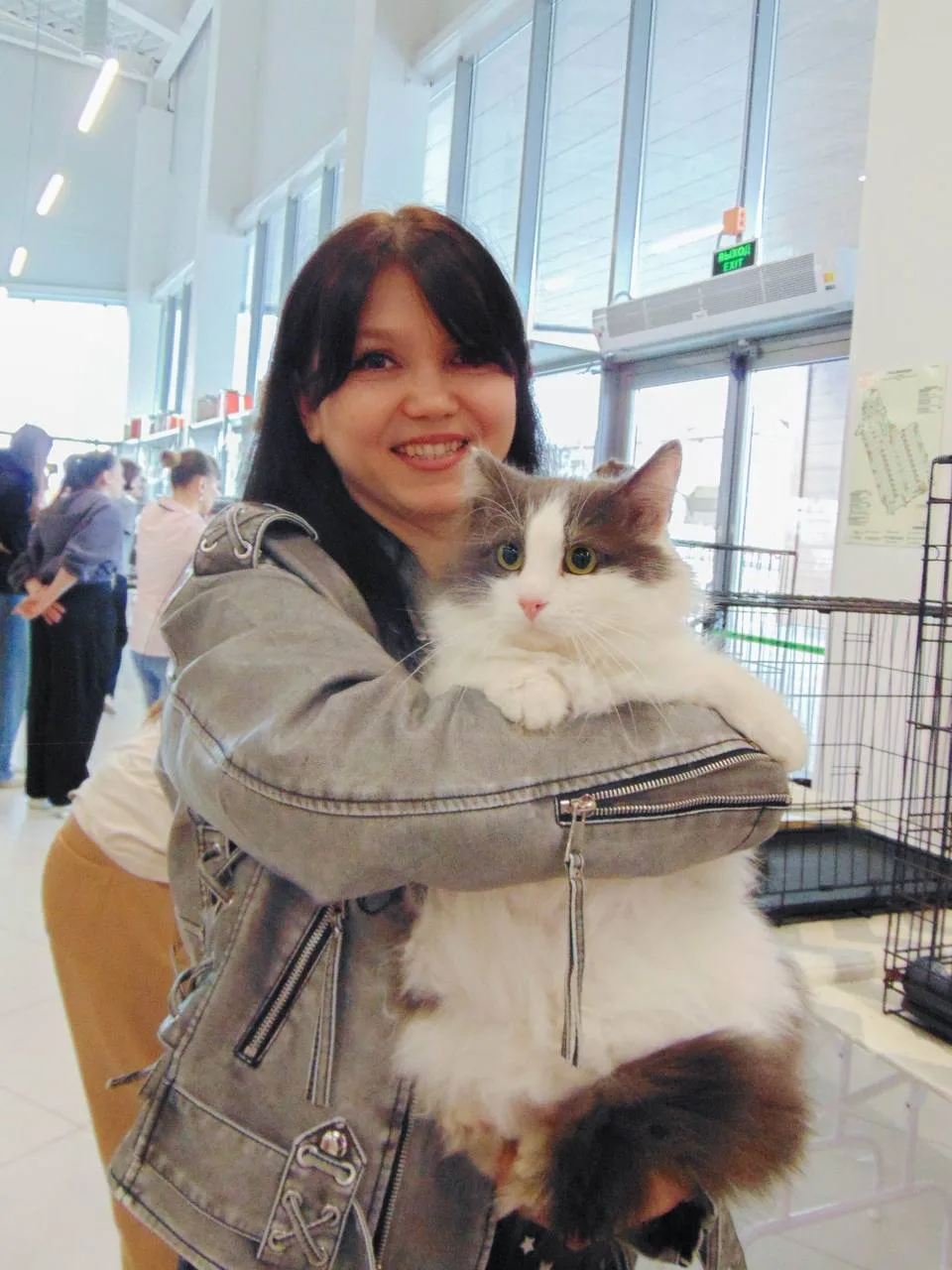 🐱 Благотворительная выставка кошек «Дорога домой»