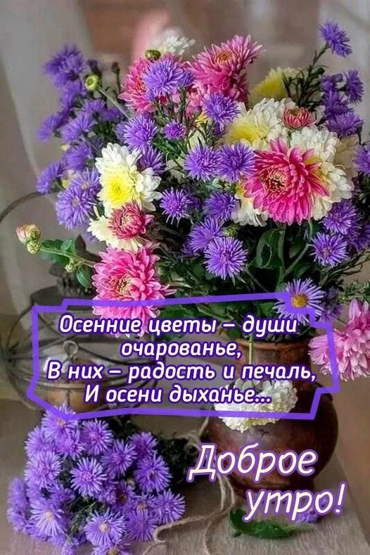 Открытки любимым 🌸🥰