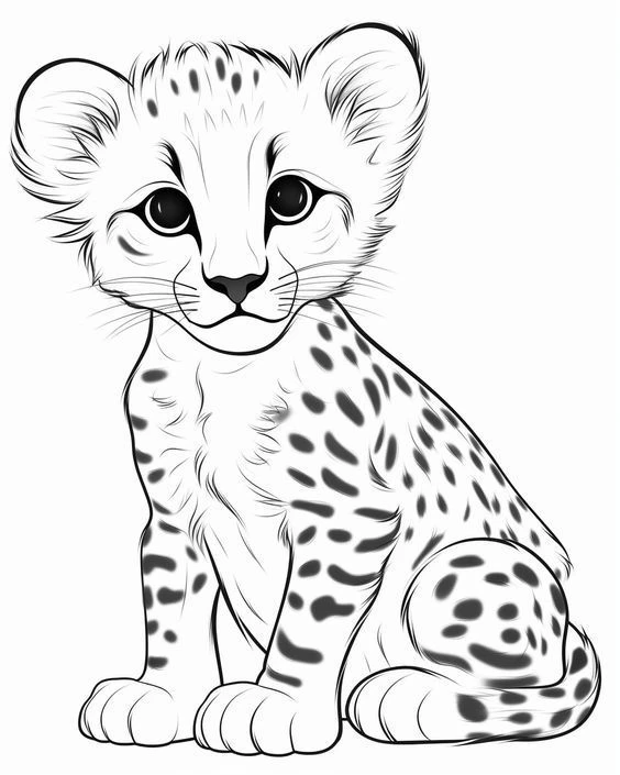 Раскраски с гепардами 🐆