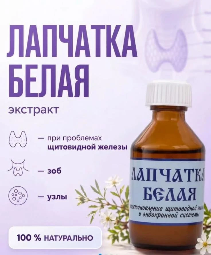 Лапчатка белая: её роль в лечении щитовидной железы 🤫🌿