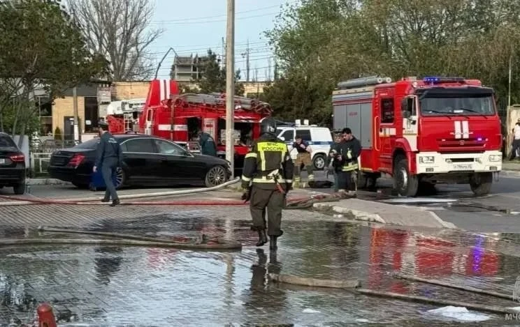 В селе Калиновка Тарумовского района в результате пожара в ангаре погибло около 2 тысяч...