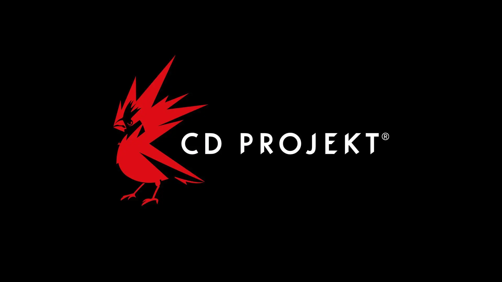 CD Projekt RED рассказала о будущих играх, успехах «Ведьмака 3» и физических изданиях