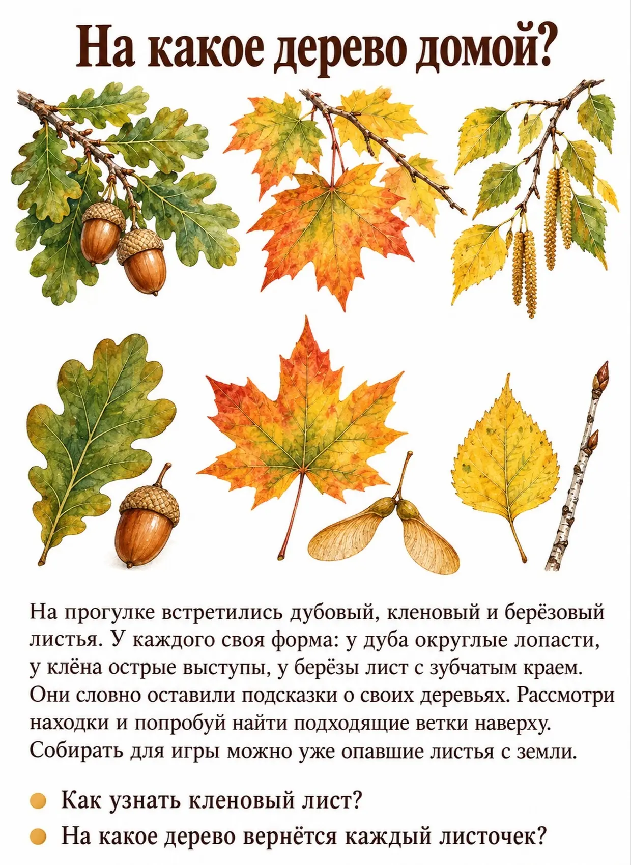 🍂 «О чём шепчутся опавшие листья?»