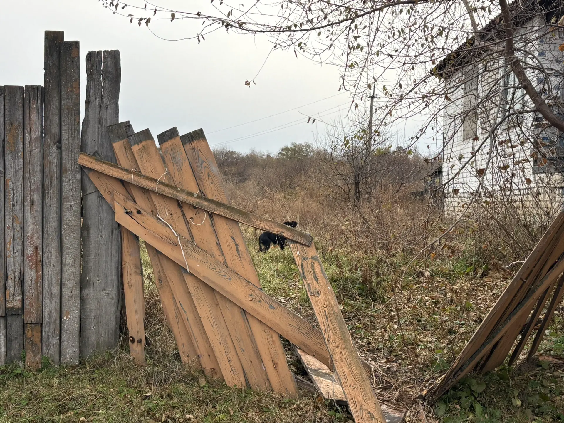 🏡 Территория должна быть безопасной.