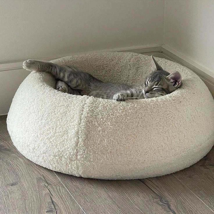 ✨Что подарить человеку, у которого есть  питомец?