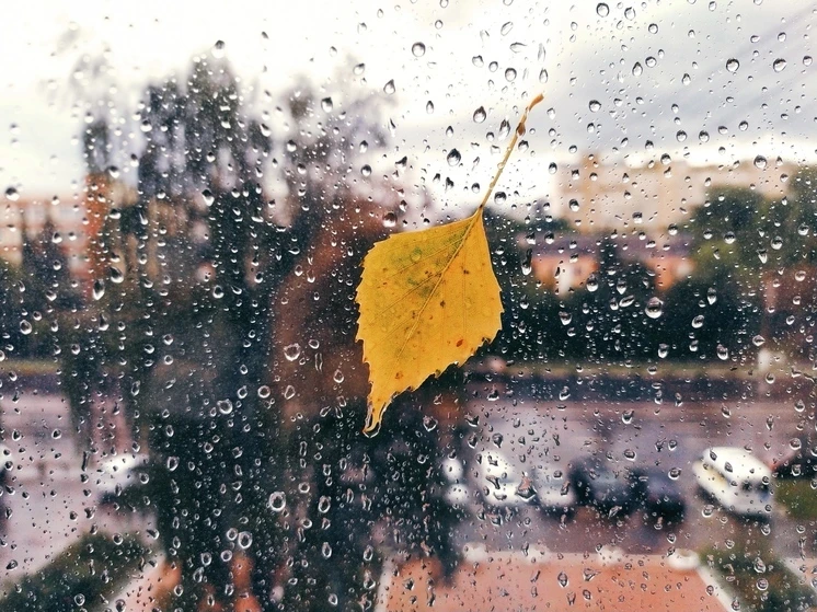 ☔️Из-за грядущего сильного дождя в Подмосковье объявили желтый уровень опасности