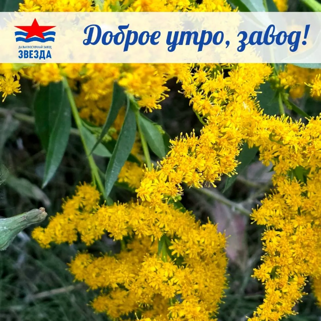 ☕Доброе утро, коллеги!