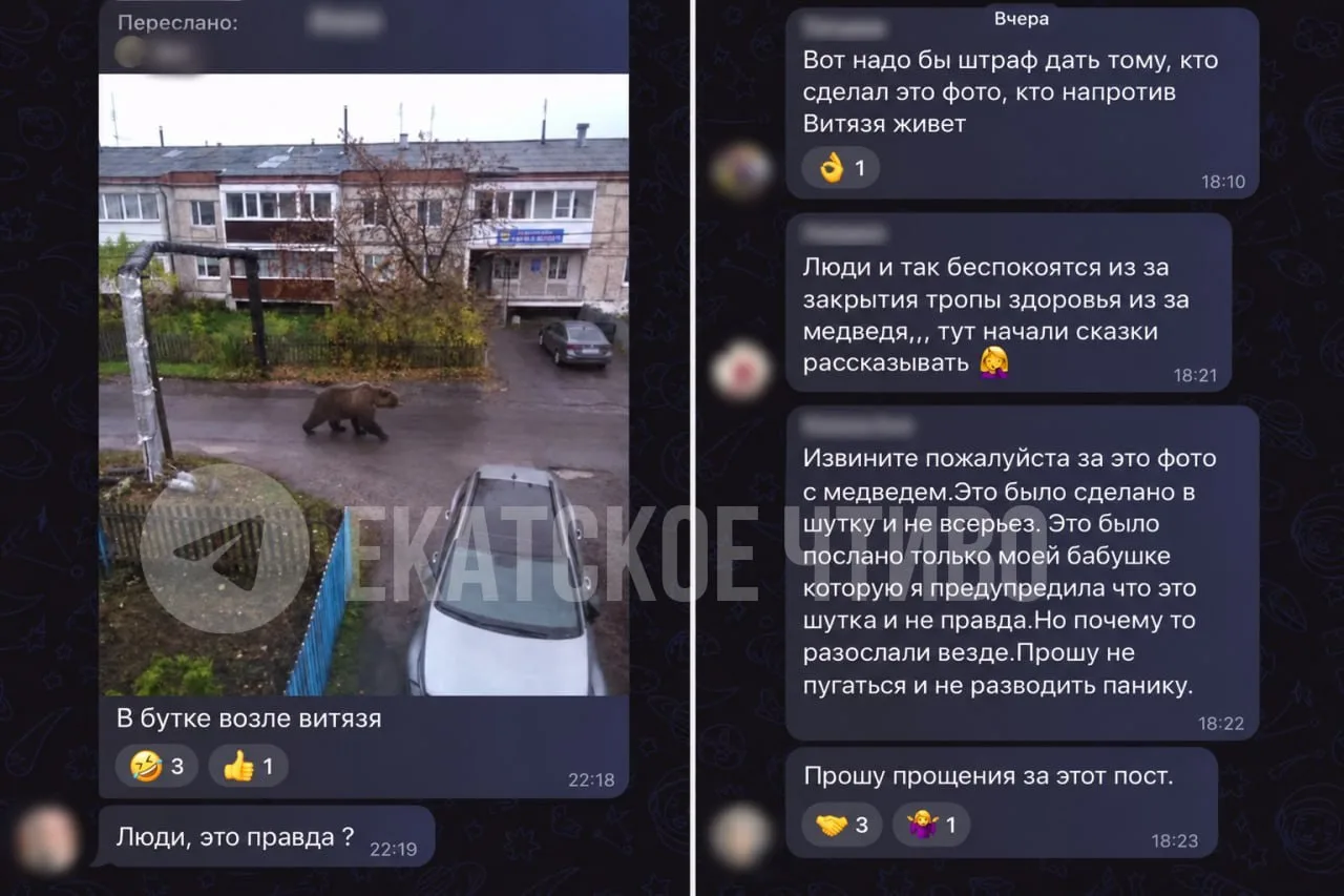 Фейковый медведь из Бутки стал интернет-мемом