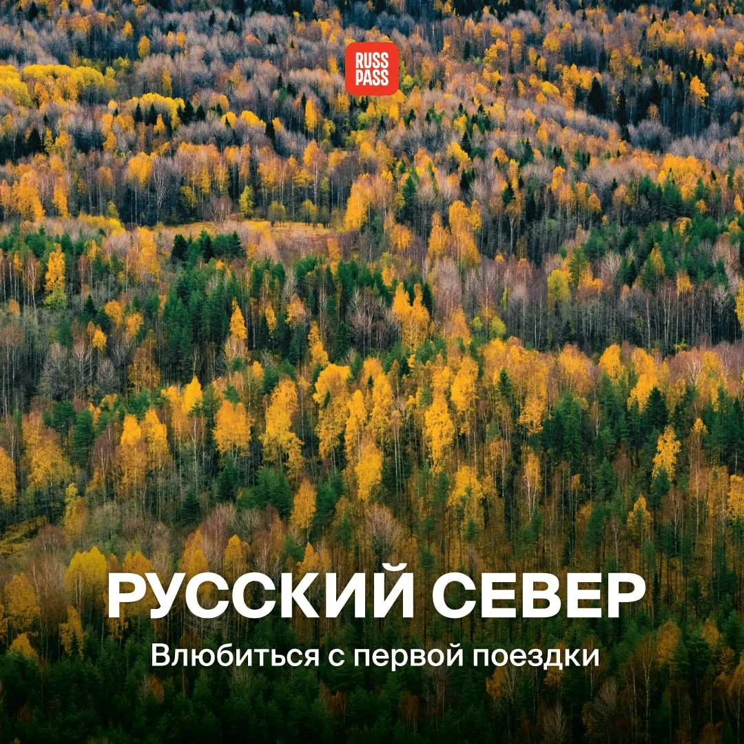💙 Все вокруг обсуждают путешествия в 2026 году, но никто не объясняет, куда поехать. Т...