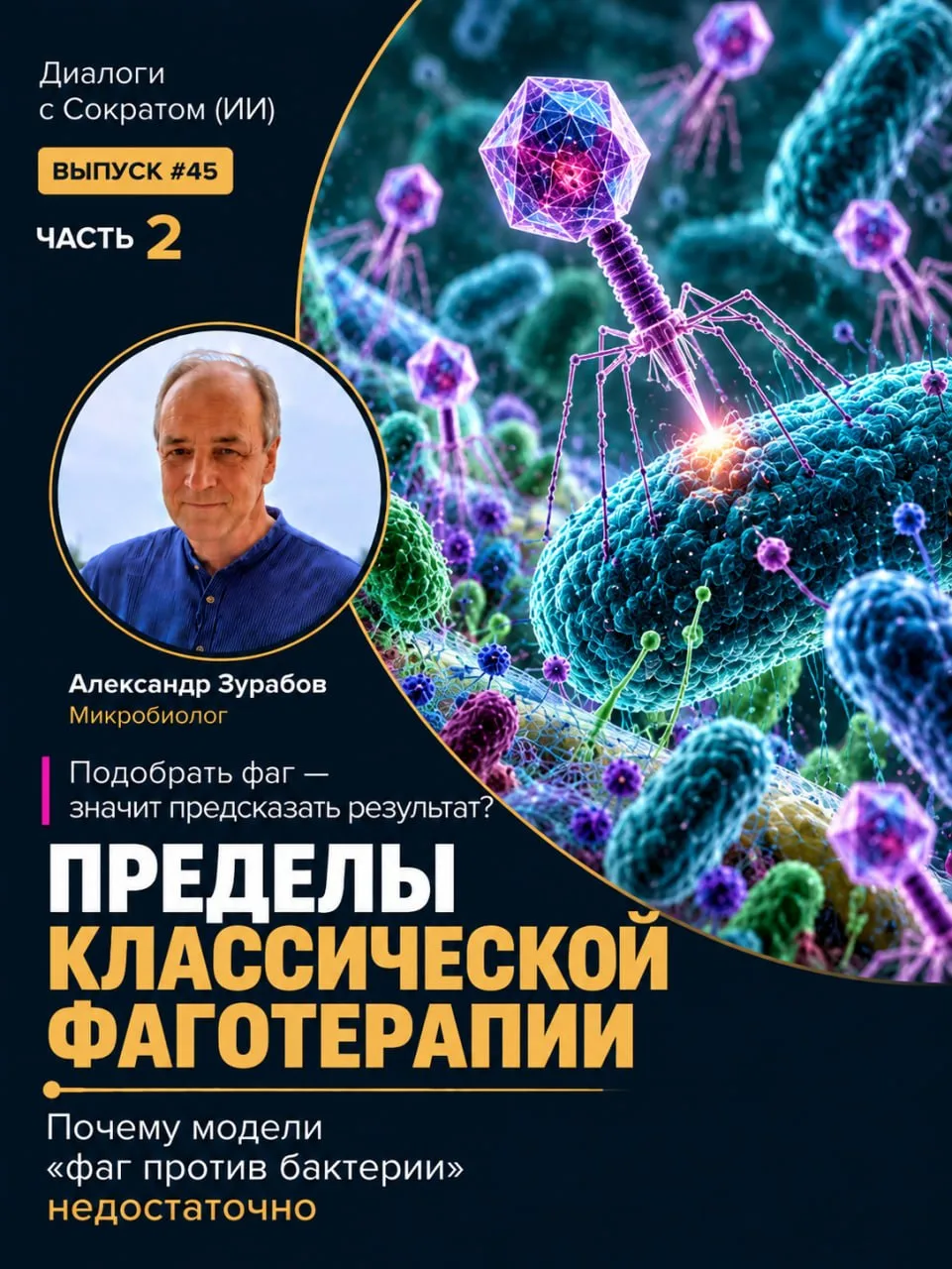 Почему схема «найти бактерию — подобрать фаг — уничтожить возбудителя» не объясняет все...