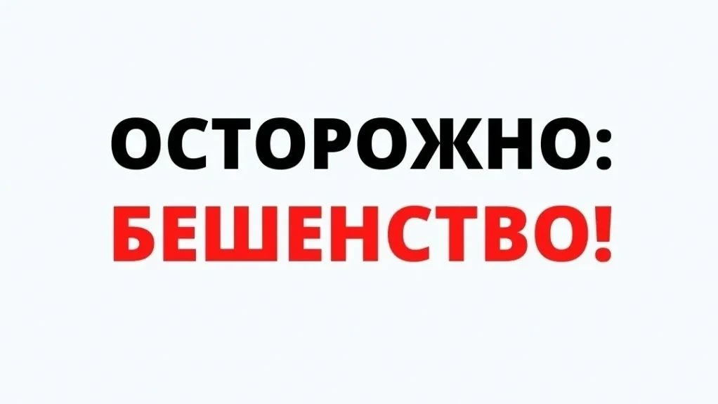 ❗ Карантин по бешенству ввели в трёх округах Пермского края — Пермском, Суксунском и Ку...