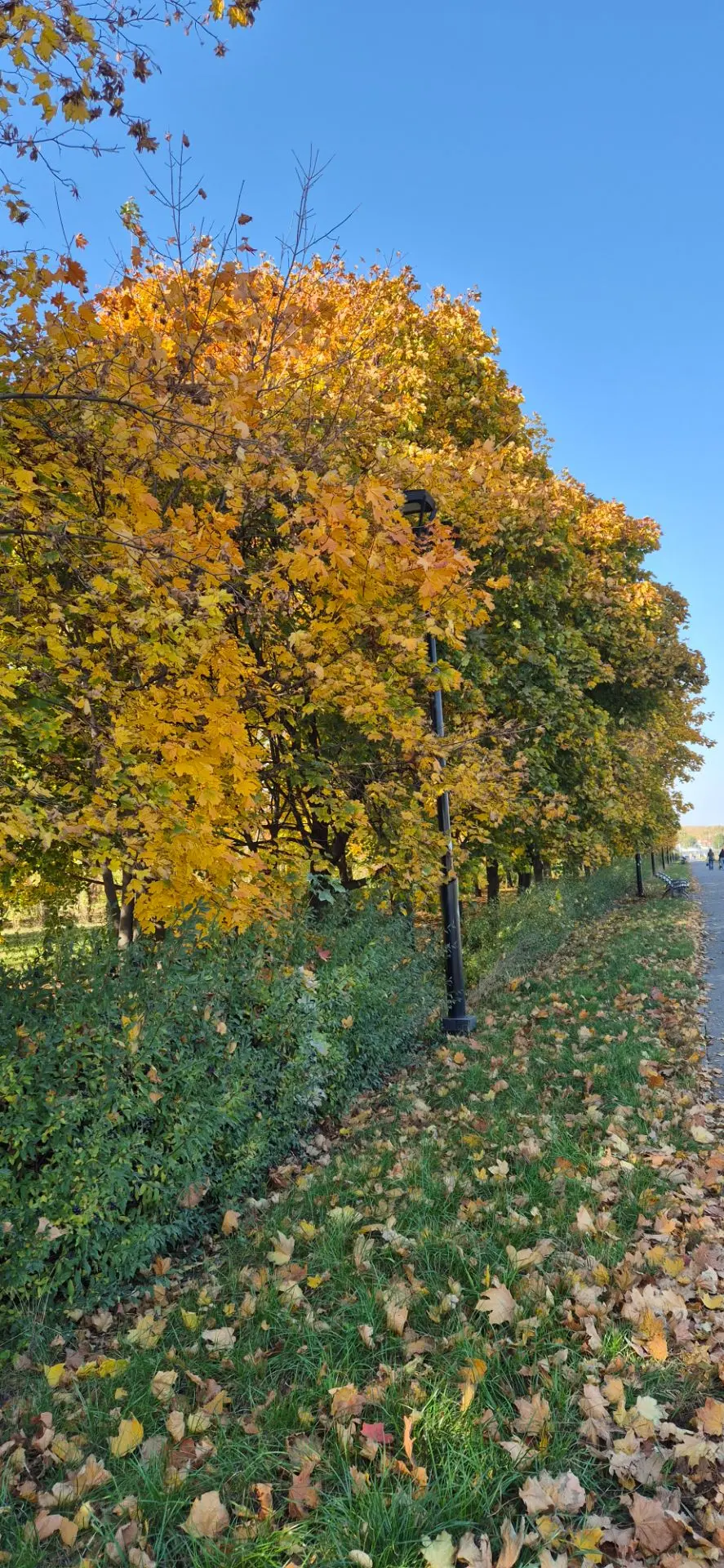 Красота какая ! 🥰🍁🍂