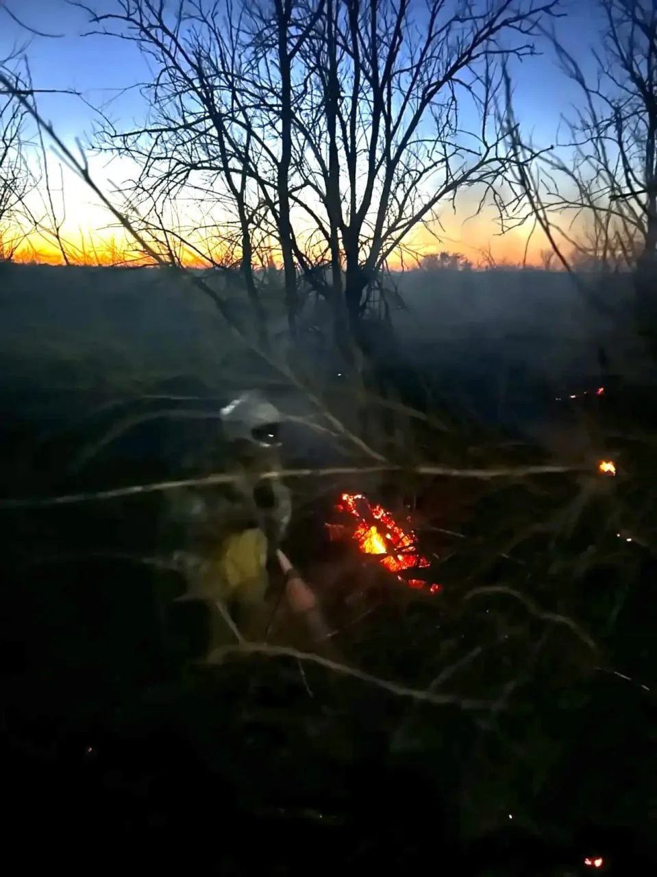 🔥 В Красногвардейском районе загорелась сухая трава