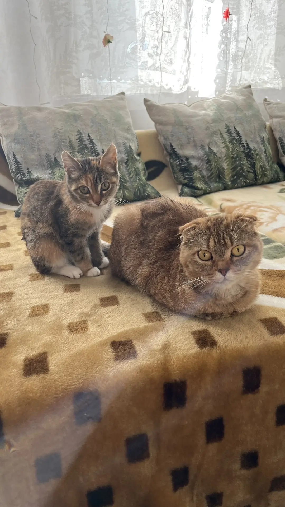 Девушки 😻Мамы