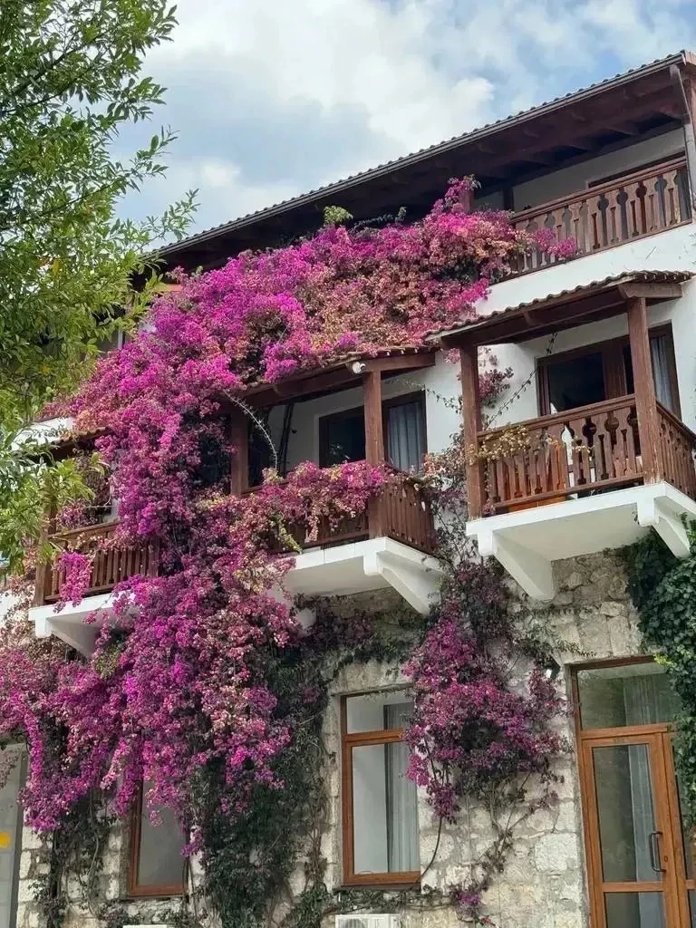 🍂🍊 Абхазия осенью: согревающий SPA-релакс в отеле «АБААТА» 4⭐ (Гагра)
