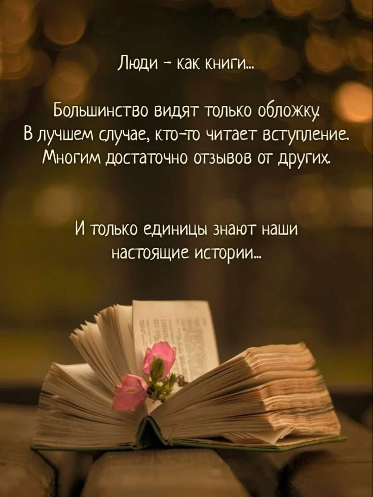 https://max.ru/invista123456