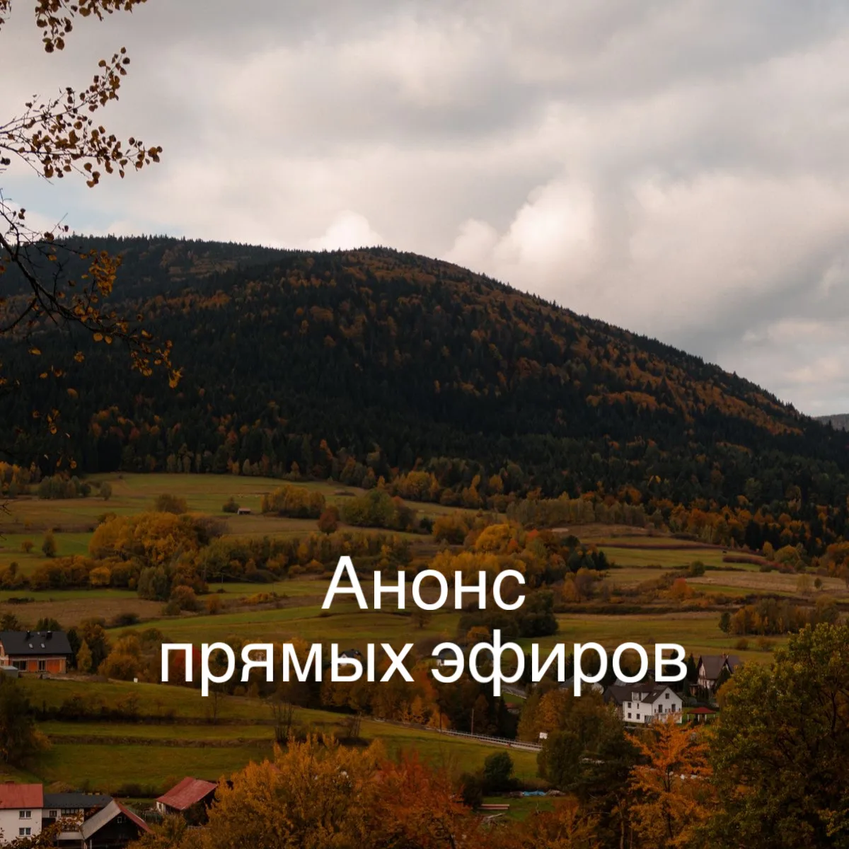 А ты будешь сегодня на цигун?