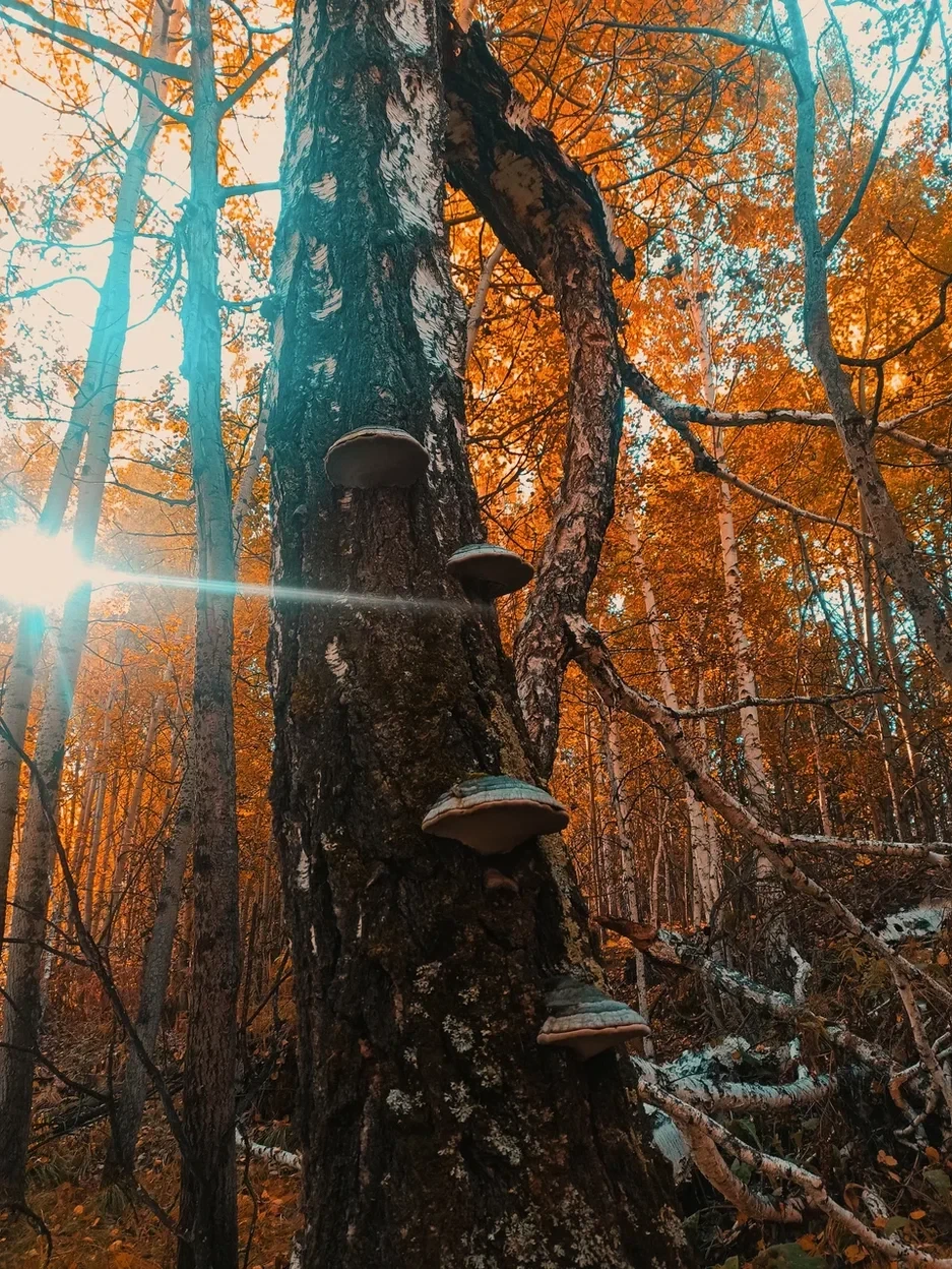 Доброе утро, дорогие читатели! ☀️