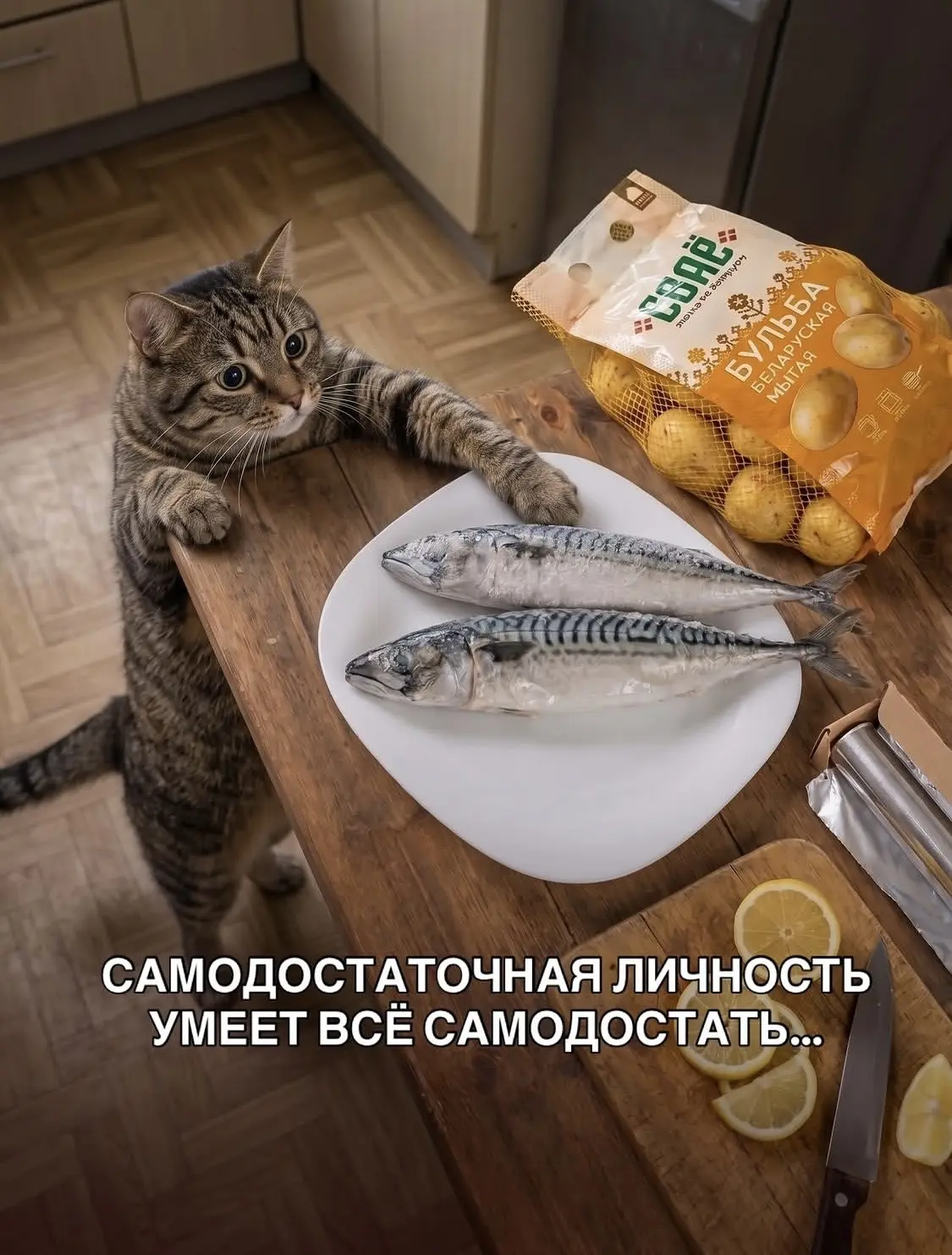 🐈