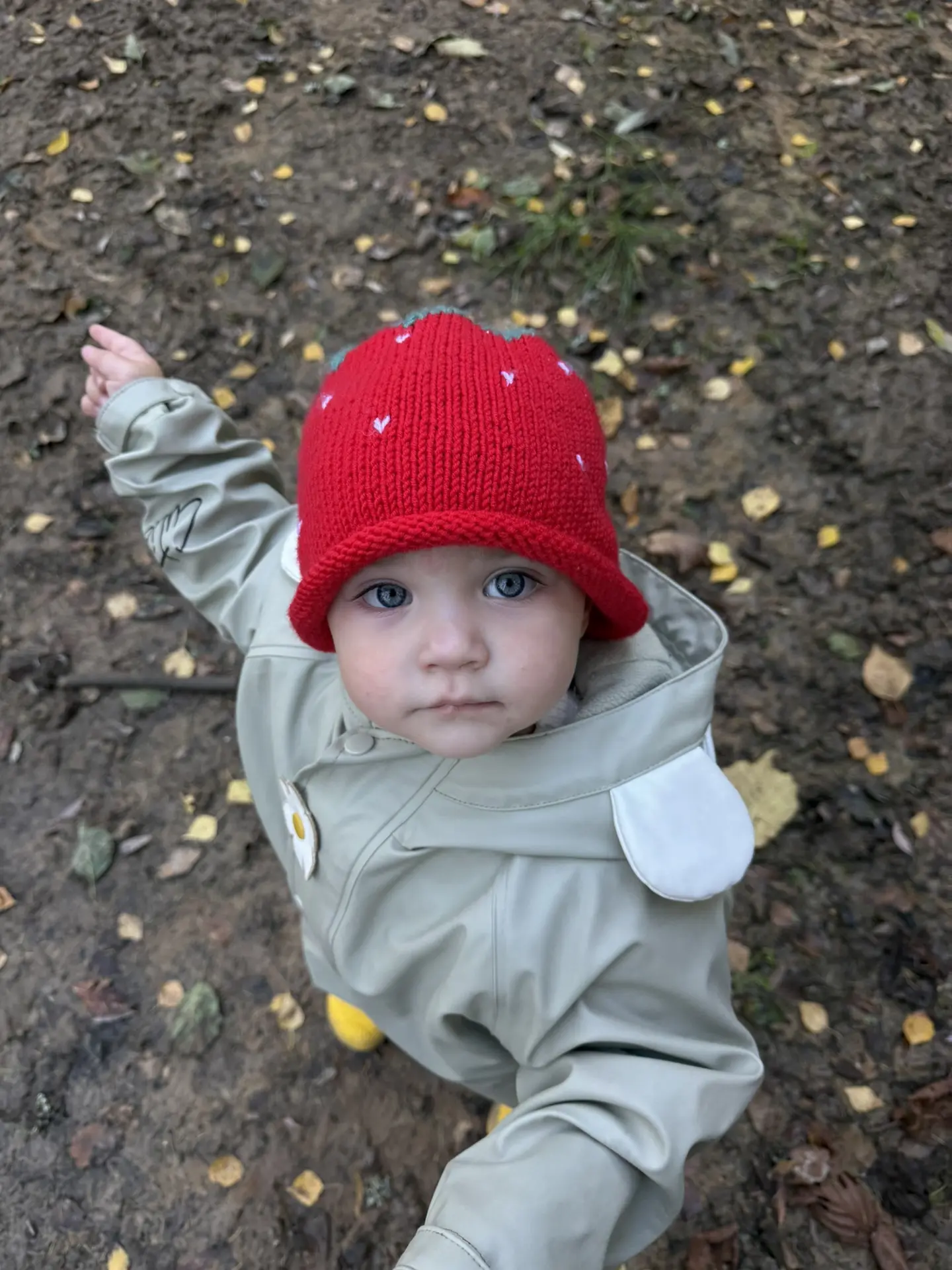 🍓 приключения в лесу 🌲