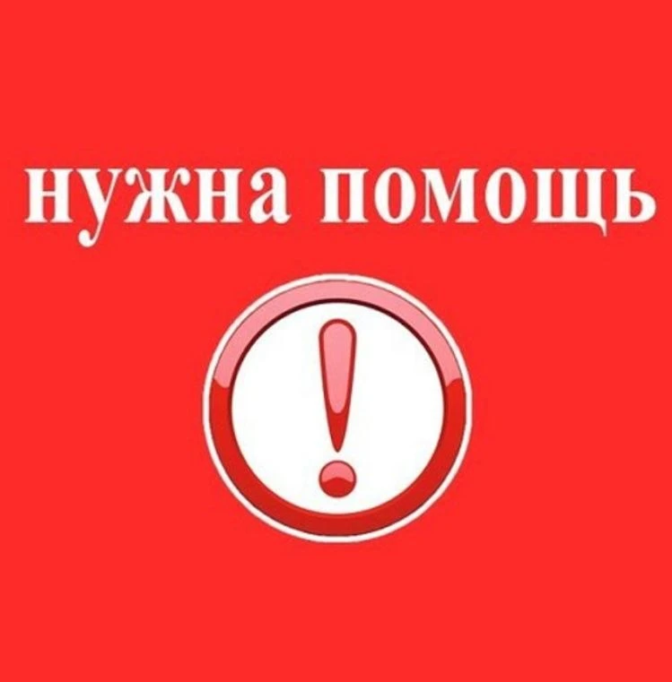 Добрый день! Подскажите может кто поможет в отлове  собаки ? Хотим отловить собаку с Ша...