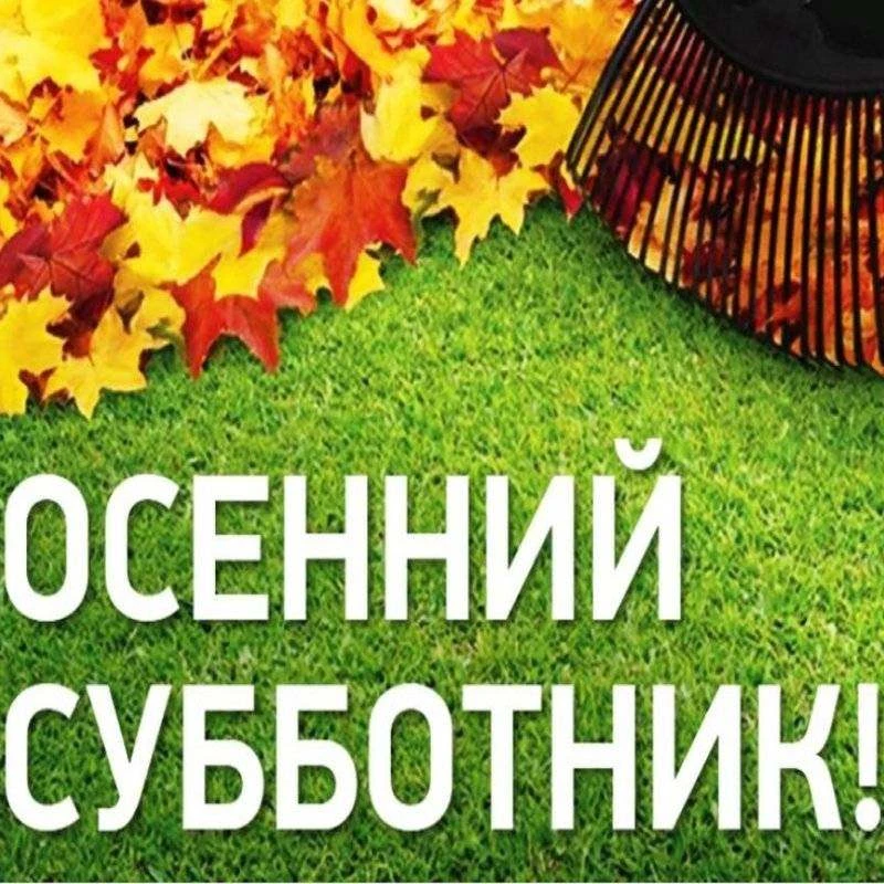 Уважаемые Калининцы!