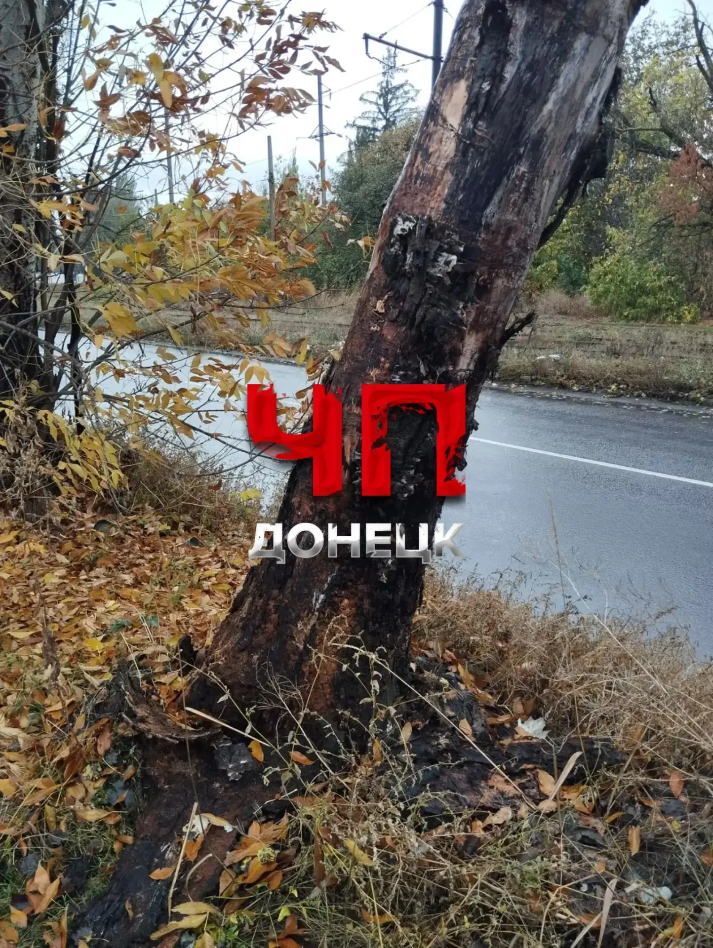 Аварийное дерево на ул. Узловая в Кировском районе