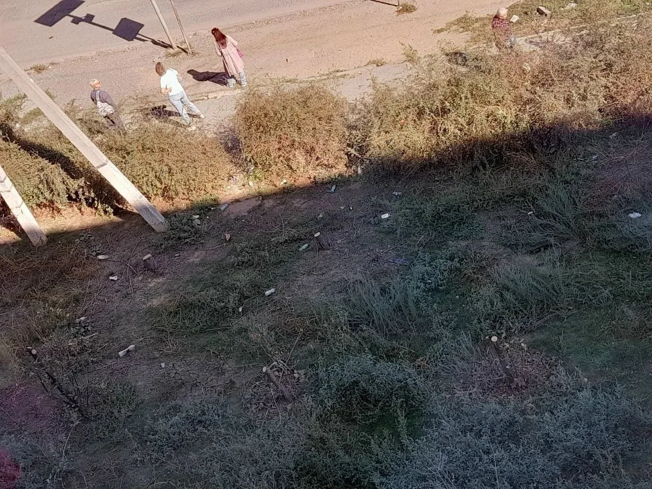 На остановке 6-й микрорайон, которая расположена напротив Декстера, уборщики игнорируют...