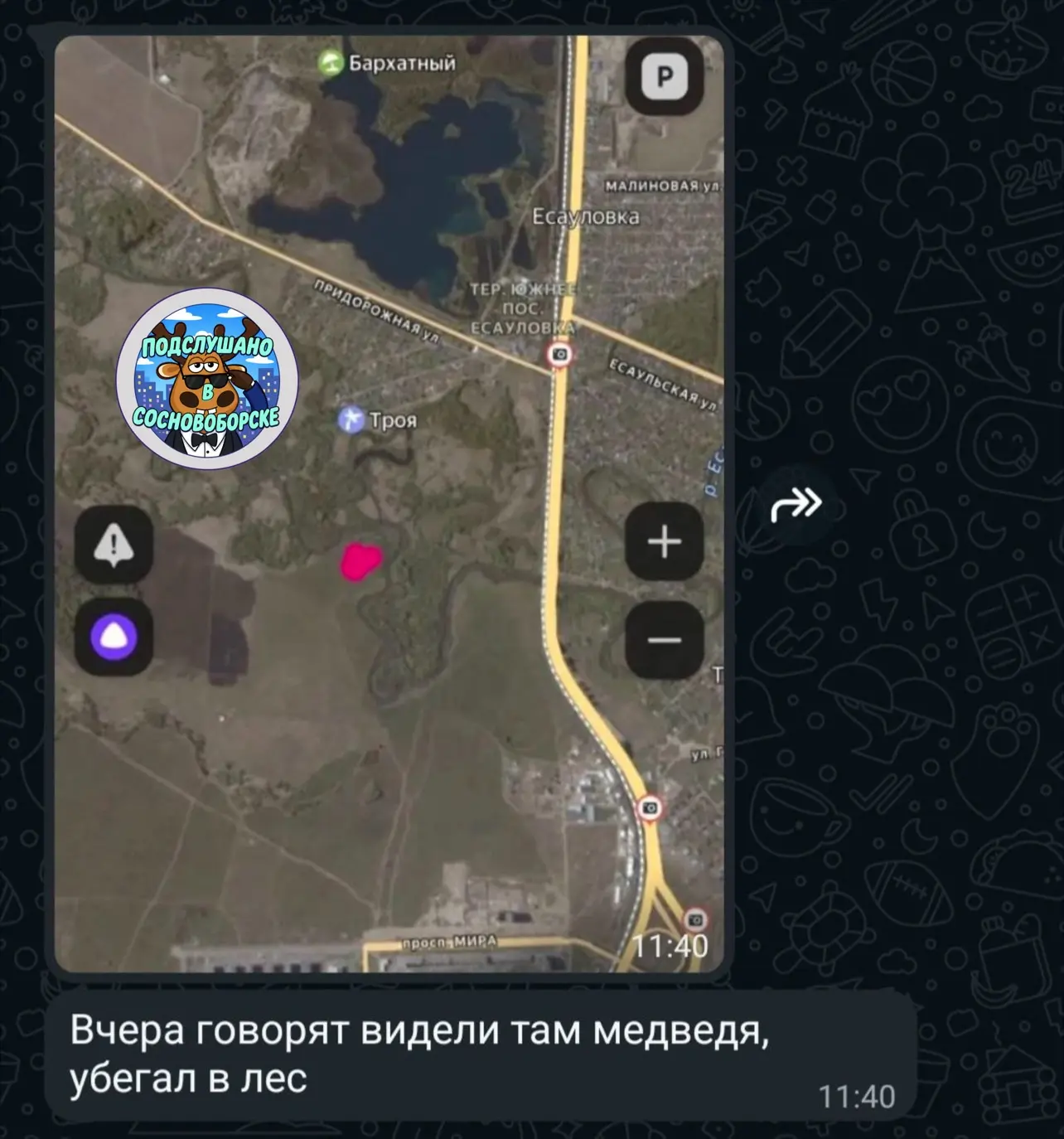 ⚡️ В Сосновоборске напротив ул. Мира в поле, засняли медведя.