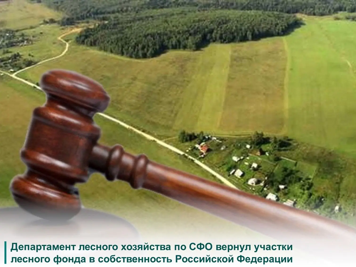 ☝Для предотвращения неправомерного распоряжения государственными землями лесного фонда ...