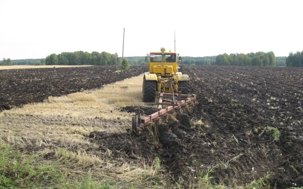 Цифра недели