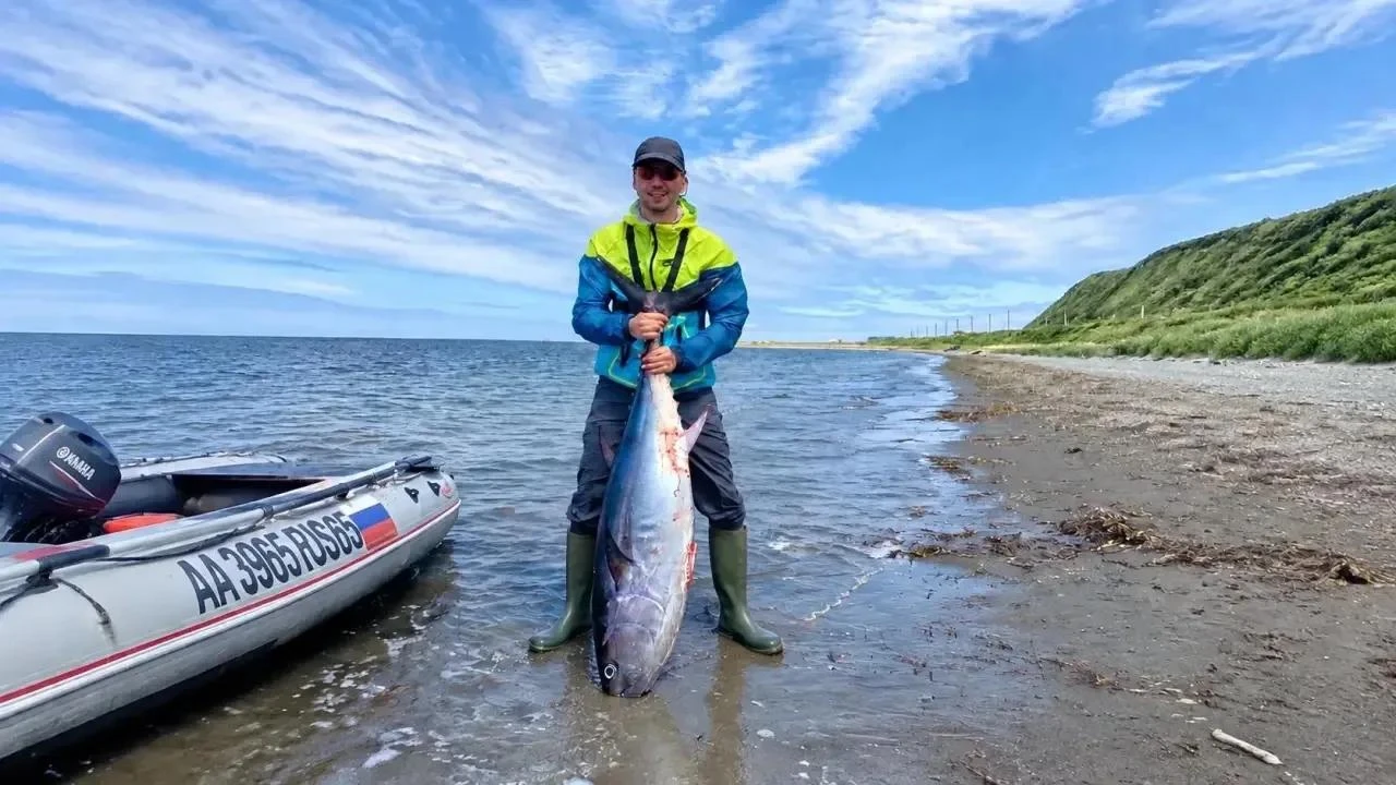 🐟 Сахалинский тунец готовят к экспорту: островная компания заинтересовалась рынком Китая