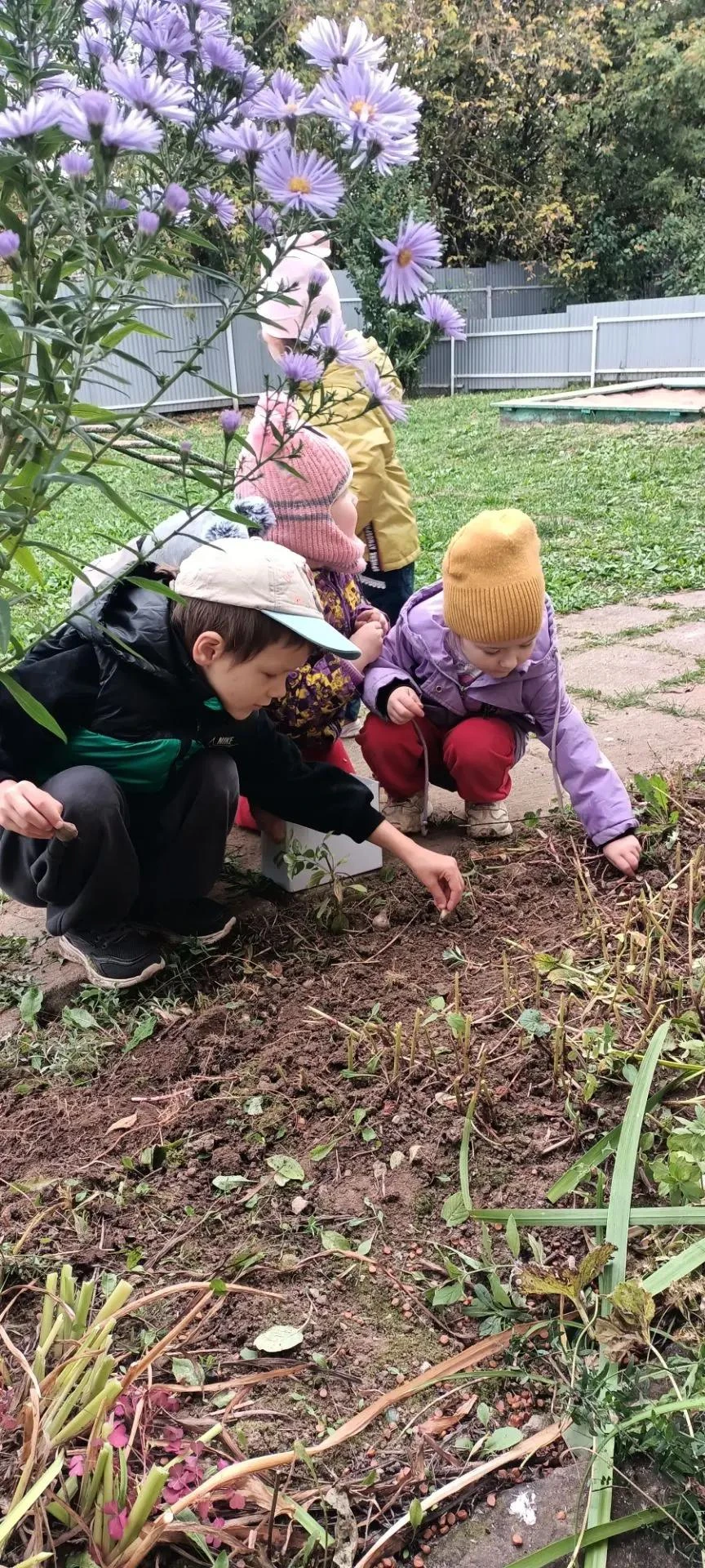 🌿Одним из компонентов прогулки является труд (на участке, в природе, трудовые поручени...