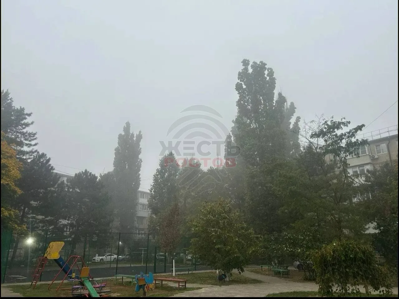⚡️ Ростовскую область накрыл густой туман — видимость на дорогах ухудшилась