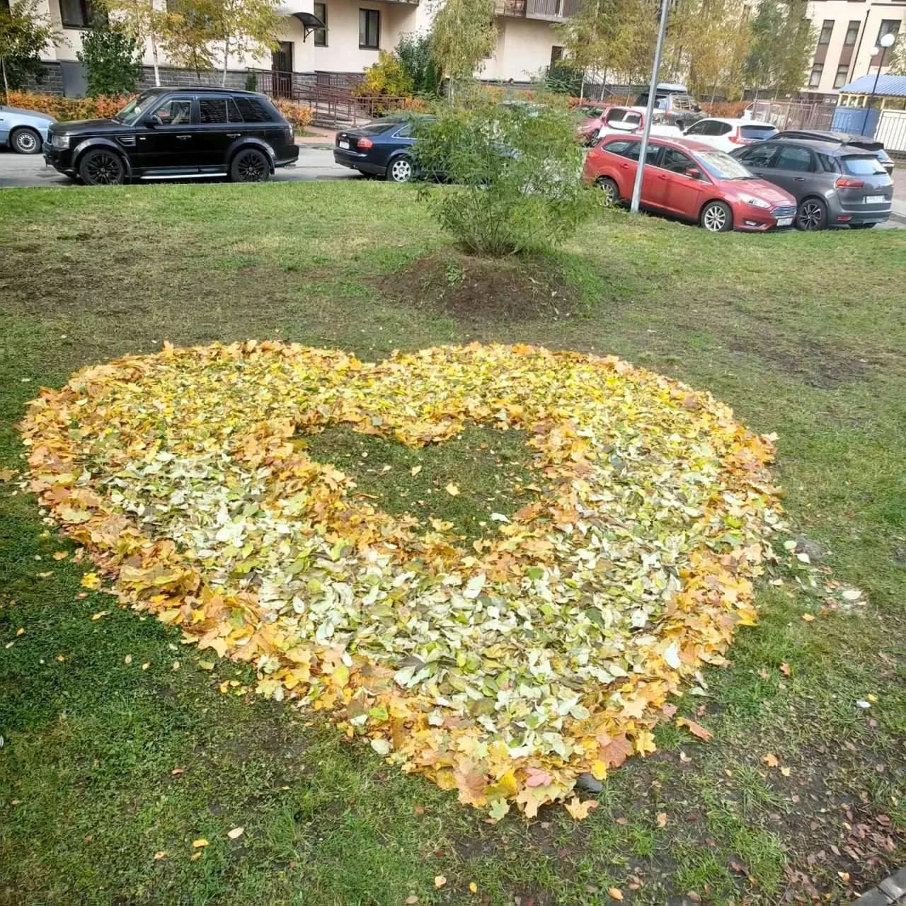 🍁Петербургские дворники решили добавить красок в осеннее настроение горожан🍂