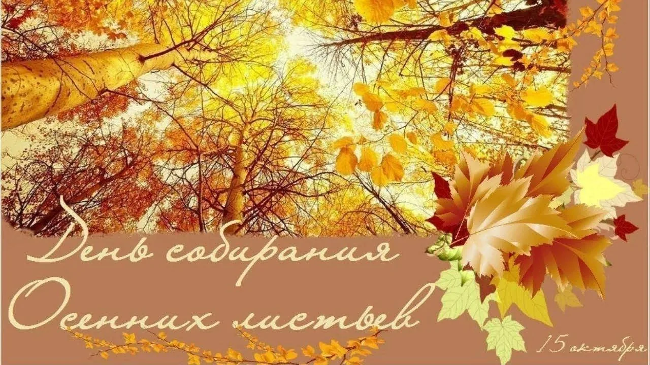 🍁🍂Золотая мозаика осени: как прошёл День собирания осенних   листьев в начальной школ...