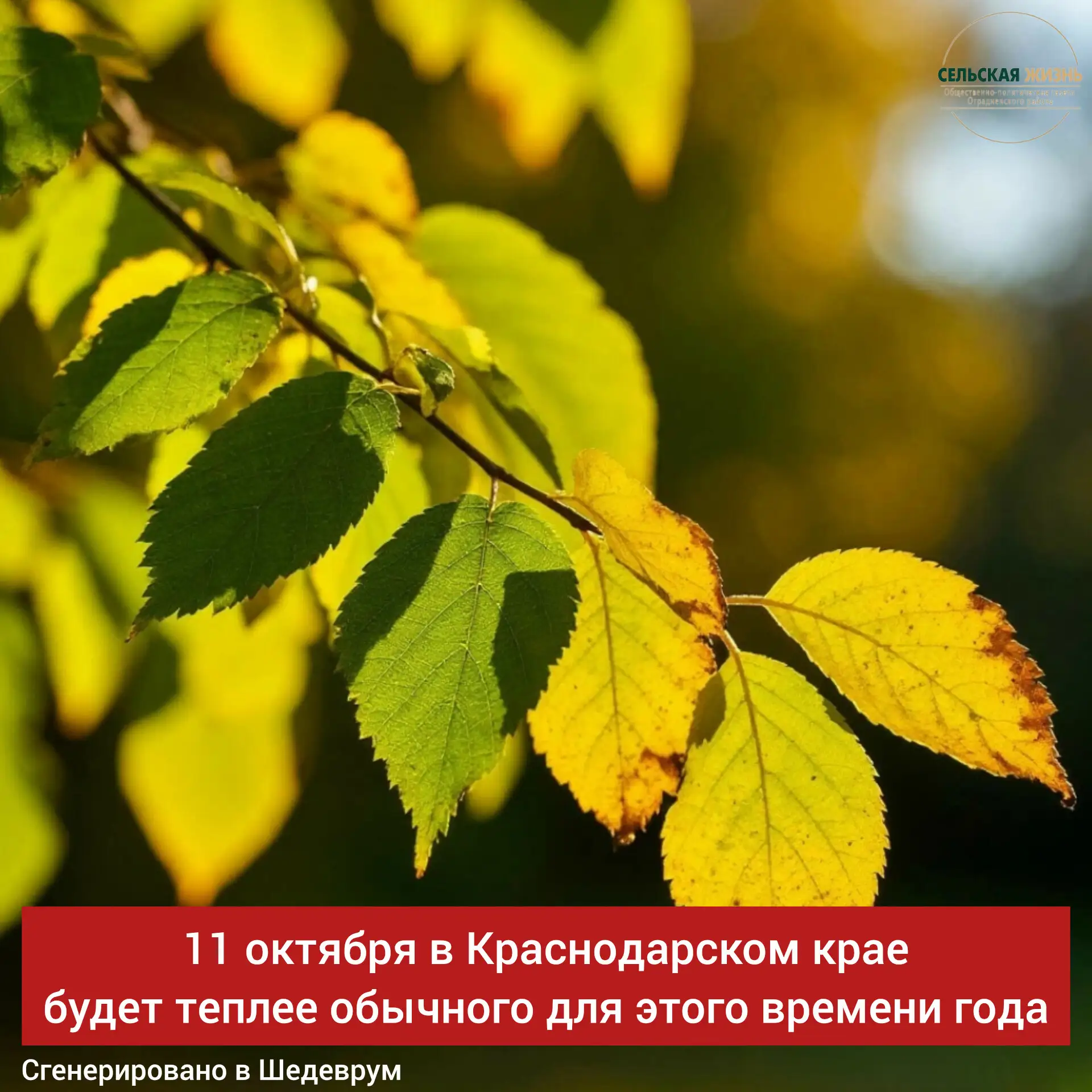 ☀️11 октября, в Краснодарском крае будет теплее обычного для этого времени года.
