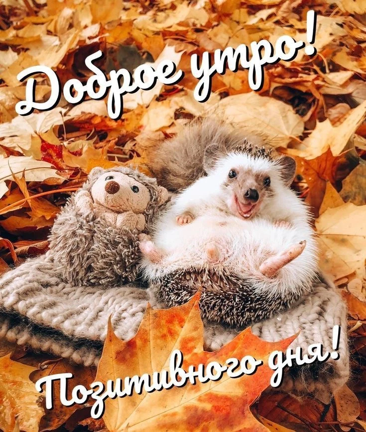 Доброе утро, Волжский МЭИ!🍂