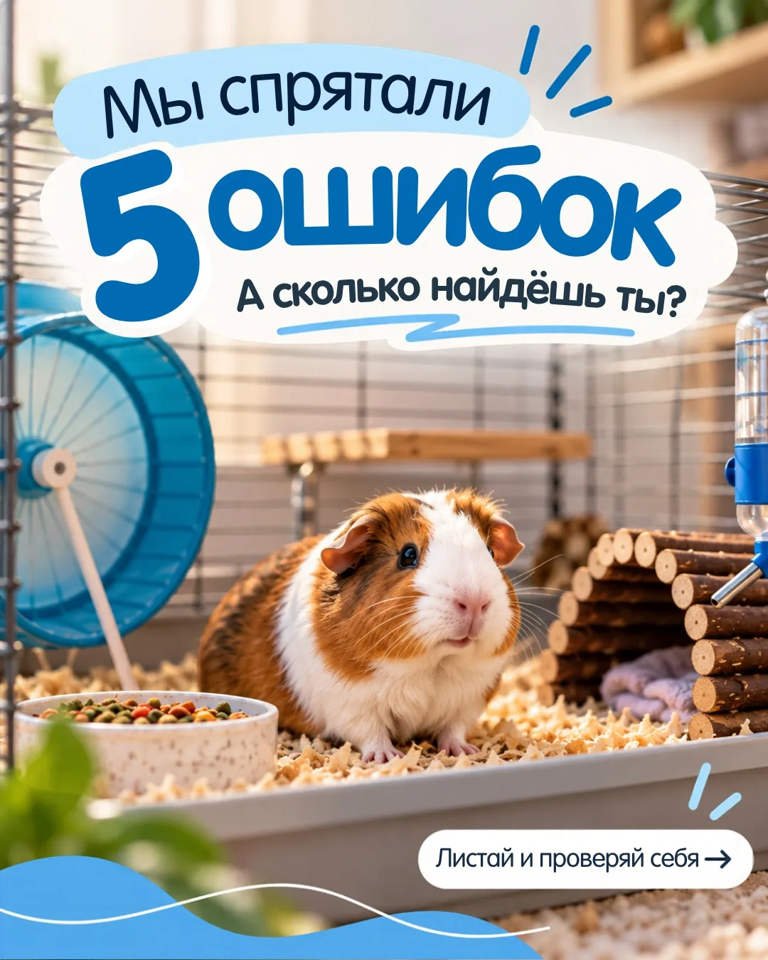 🐹 А сколько ошибок найдёте вы?