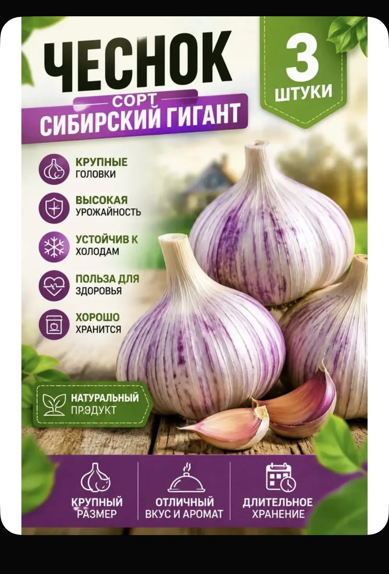 Чеснок на посадку Сибирский гигант 3 штуки